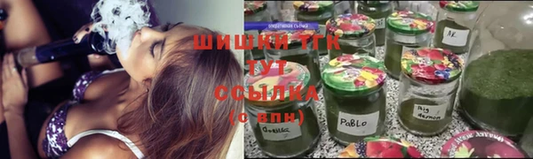 дурь Арсеньев