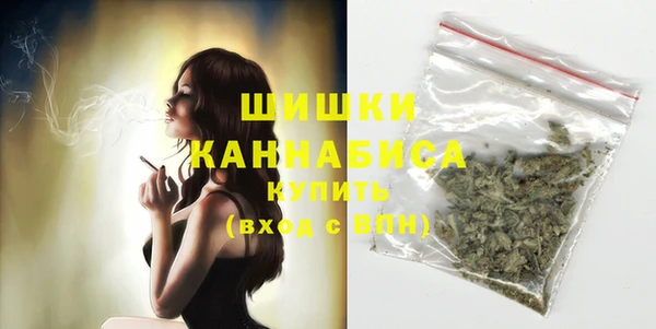 дурь Арсеньев