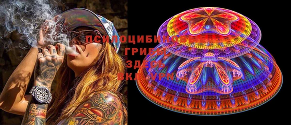 дурь Арсеньев