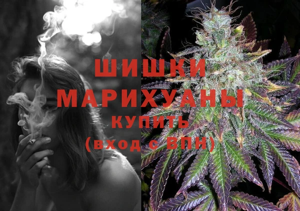 дурь Арсеньев