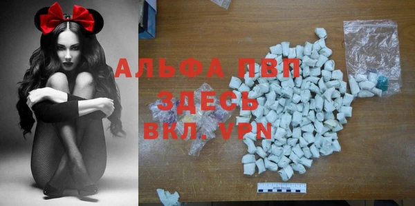Альфа ПВП Аркадак