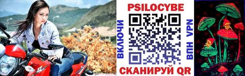 цена наркотик  Приволжск  Галлюциногенные грибы ЛСД 